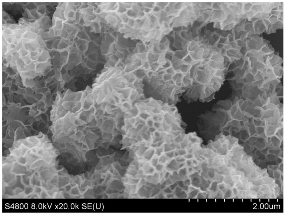 tin-in  <sub>2</sub> the s  <sub>3</sub> Preparation method and application of nanocomposite photocatalyst