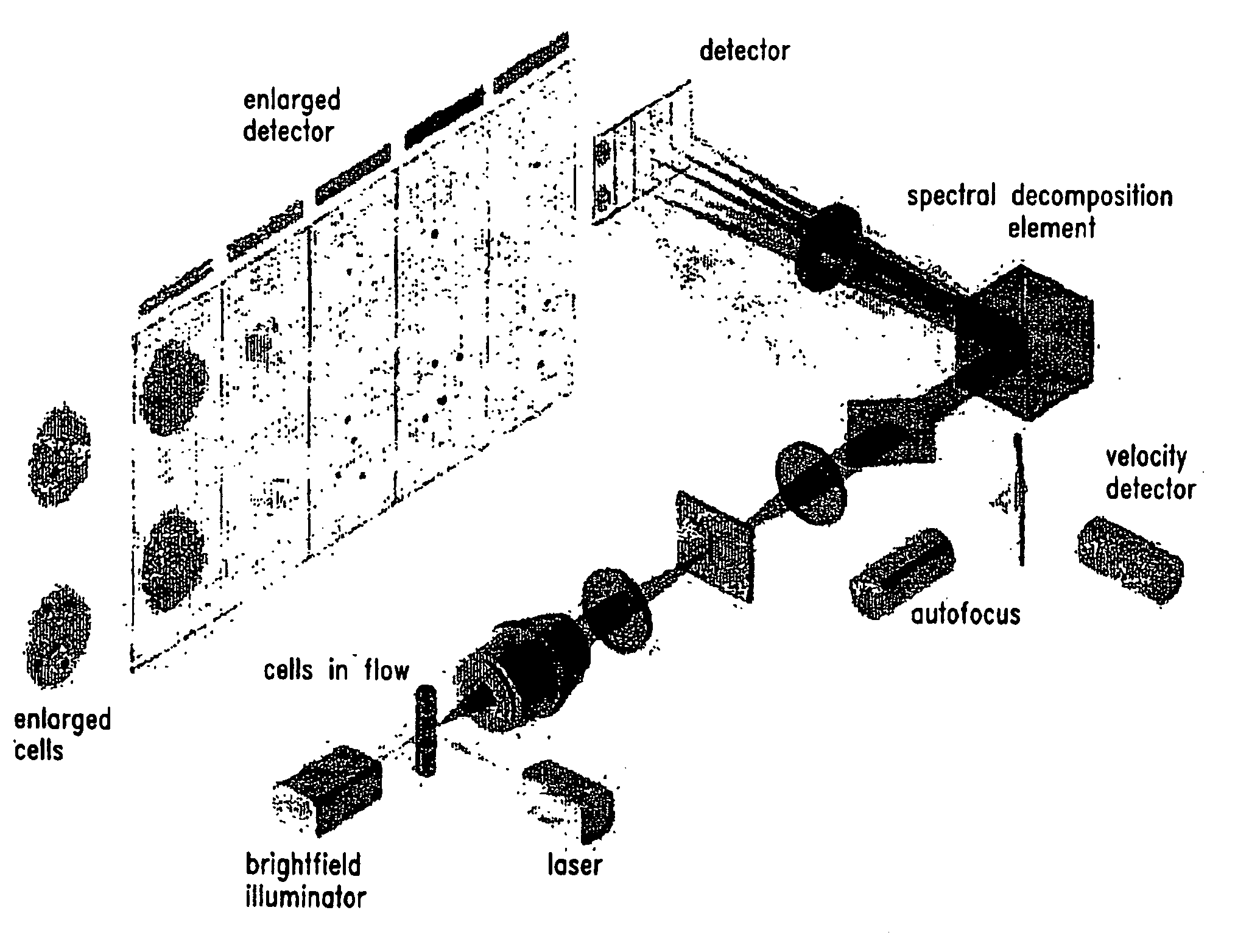 Method for imaging and differential analysis of cells