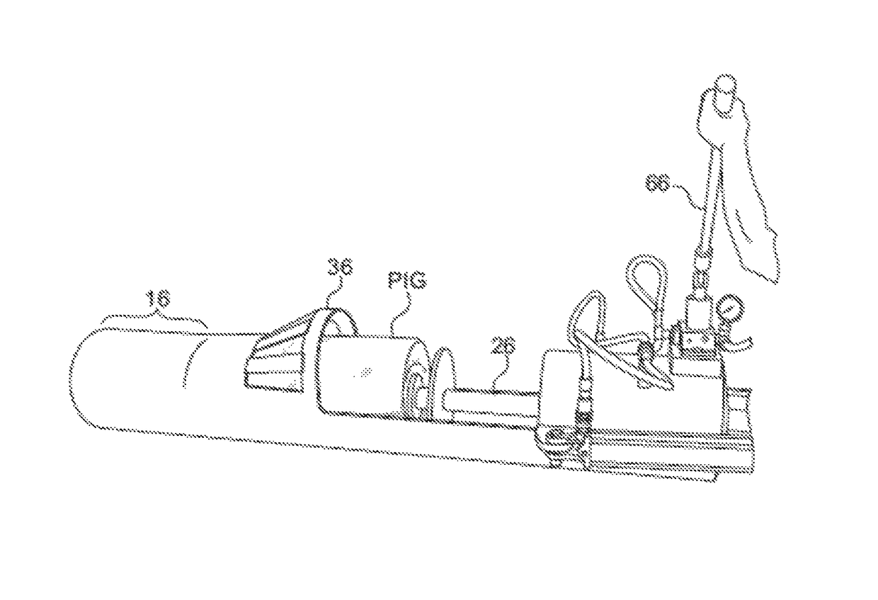 Pig loader device