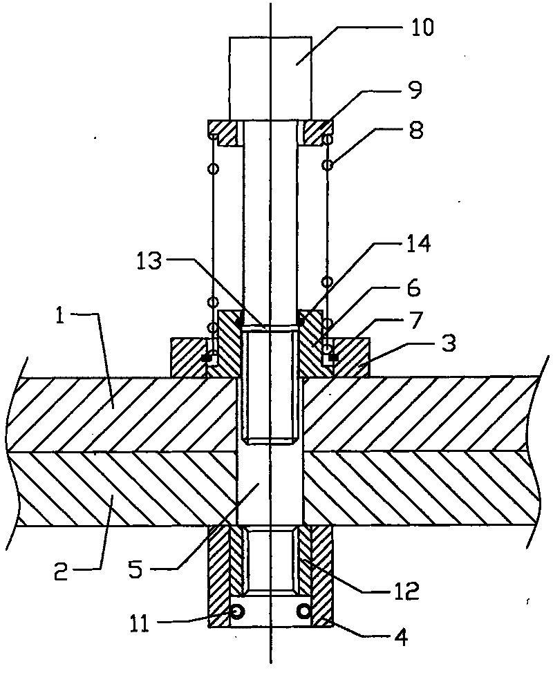 Tubular pile die screw