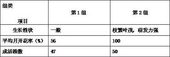 Nutrient soil for Chinese roses and preparation method of nutrient soil