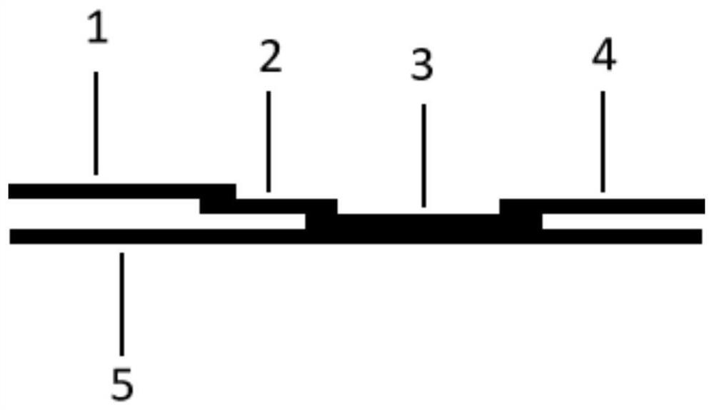 Colloidal gold card for detecting pesticide residues as well as preparation method and application of colloidal gold card