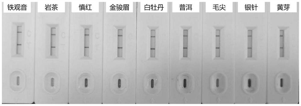 Colloidal gold card for detecting pesticide residues as well as preparation method and application of colloidal gold card