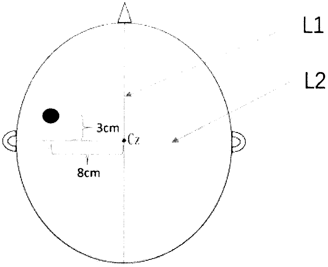 Drawing method for MEP topographic map of pharyngeal motor cortex area