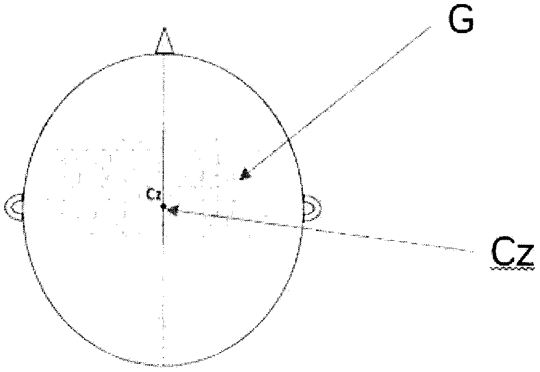 Drawing method for MEP topographic map of pharyngeal motor cortex area