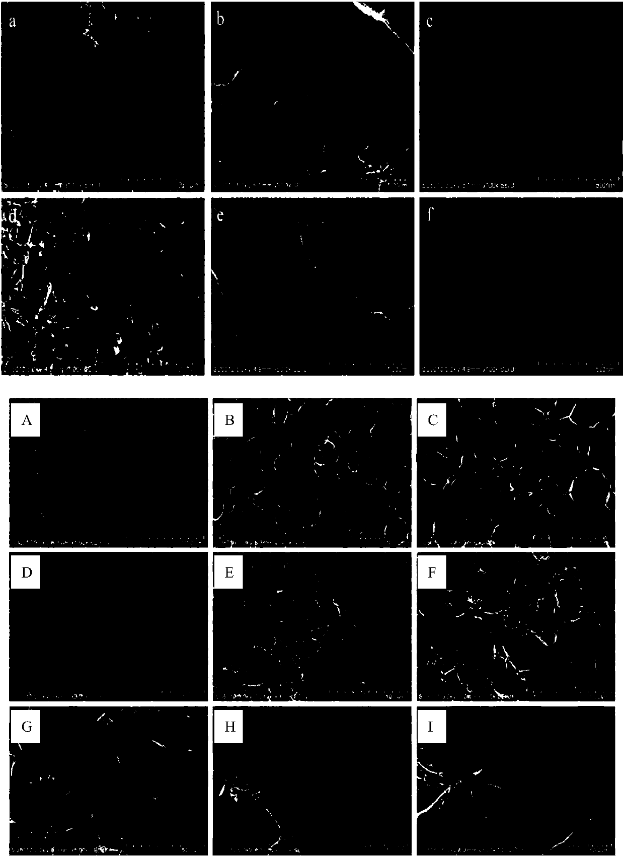 Acrylamide/nano cellulose composite gel and preparation method thereof