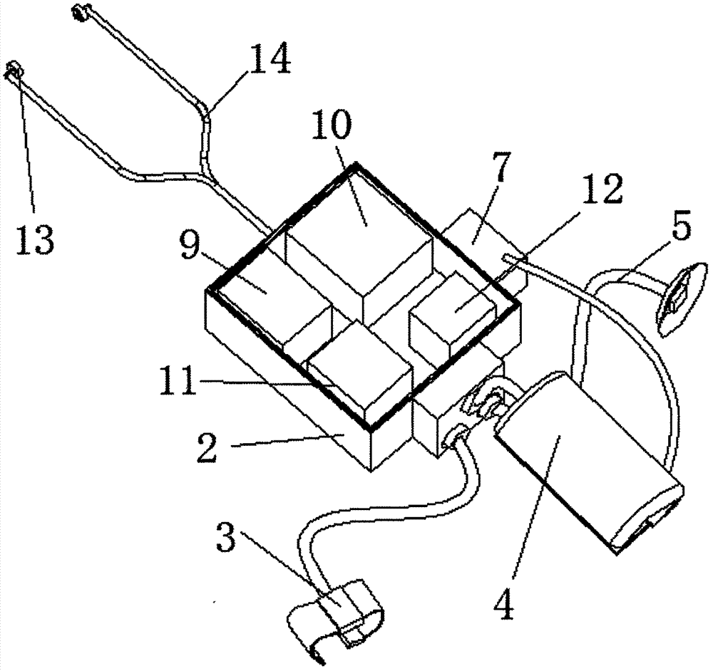 Multifunctional medical pediatric auscultation device