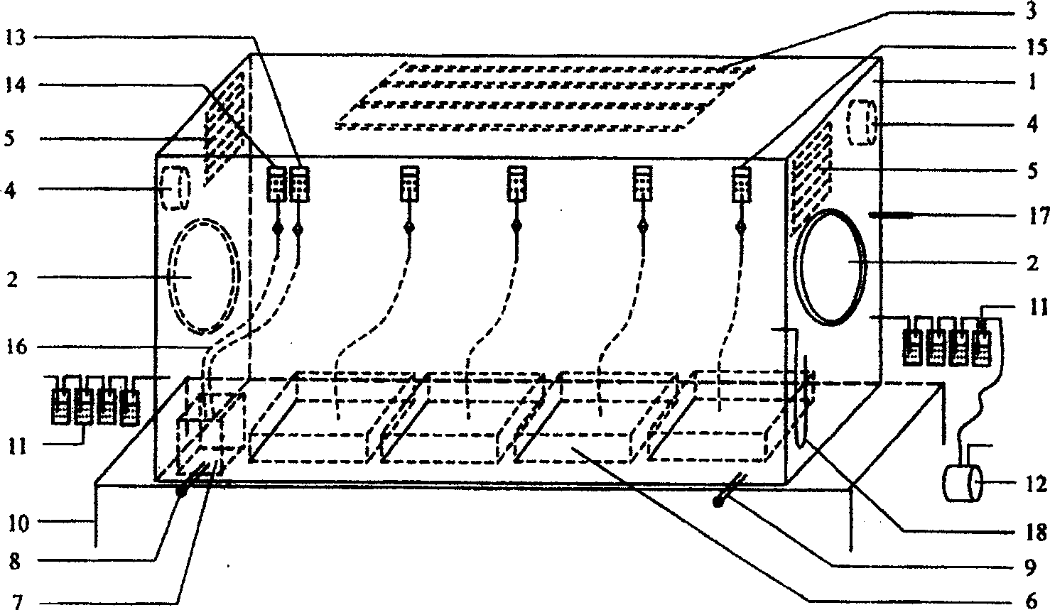 Method and device for plants carbon isotope labelling