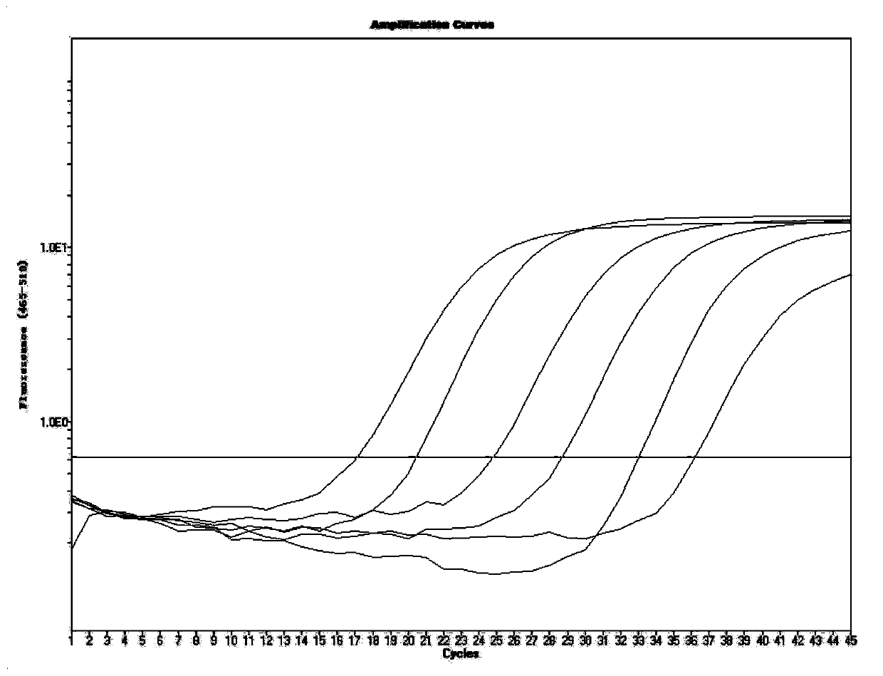 Real-time fluorescent quantitative PCR detection primer, probe, kit and method for Ljungan virus and application thereof