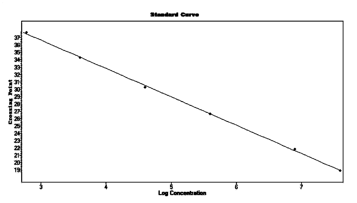 Real-time fluorescent quantitative PCR detection primer, probe, kit and method for Ljungan virus and application thereof