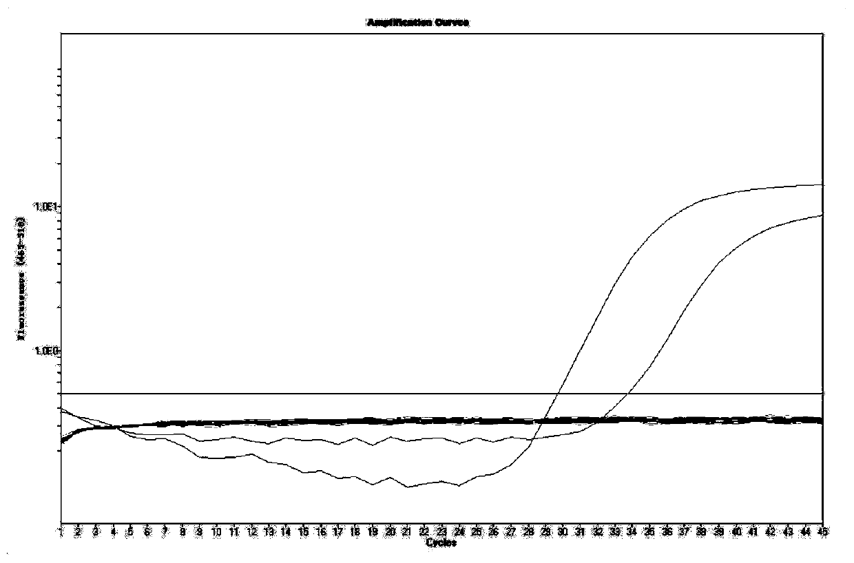 Real-time fluorescent quantitative PCR detection primer, probe, kit and method for Ljungan virus and application thereof