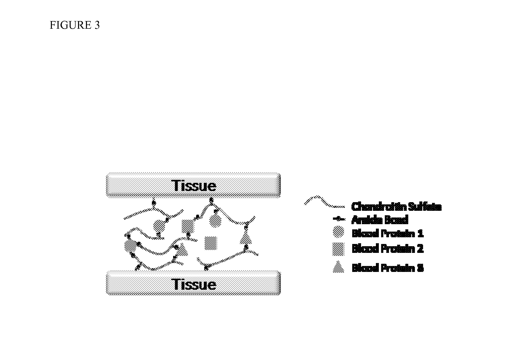 Intraoperative and blood derived adhesives