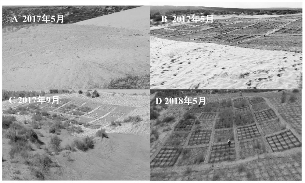 Desertification land comprehensive treatment method