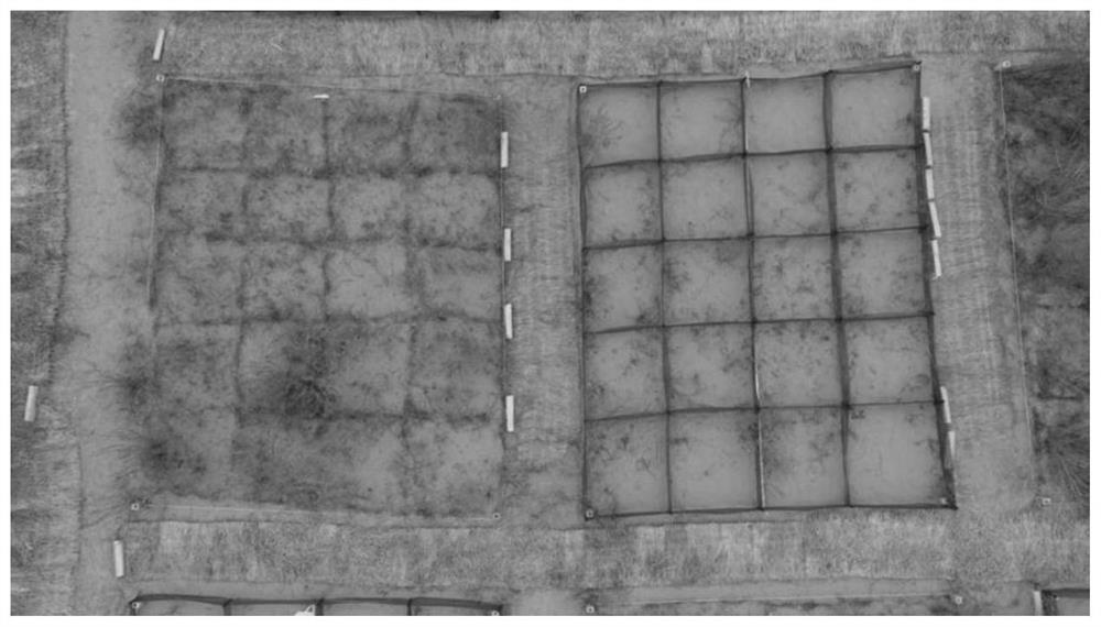 Desertification land comprehensive treatment method