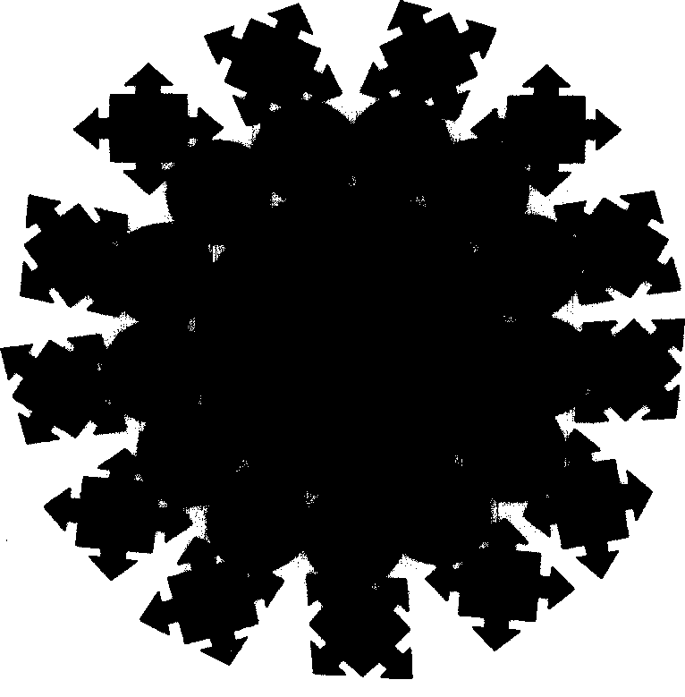 An avidin/ streptavidin magnetic complex particle and the process thereof and purpose thereof