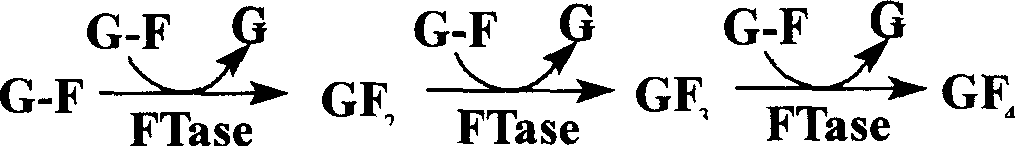 Production process of cane-fruit oligosaccharide with immobilized fructose-base transferase