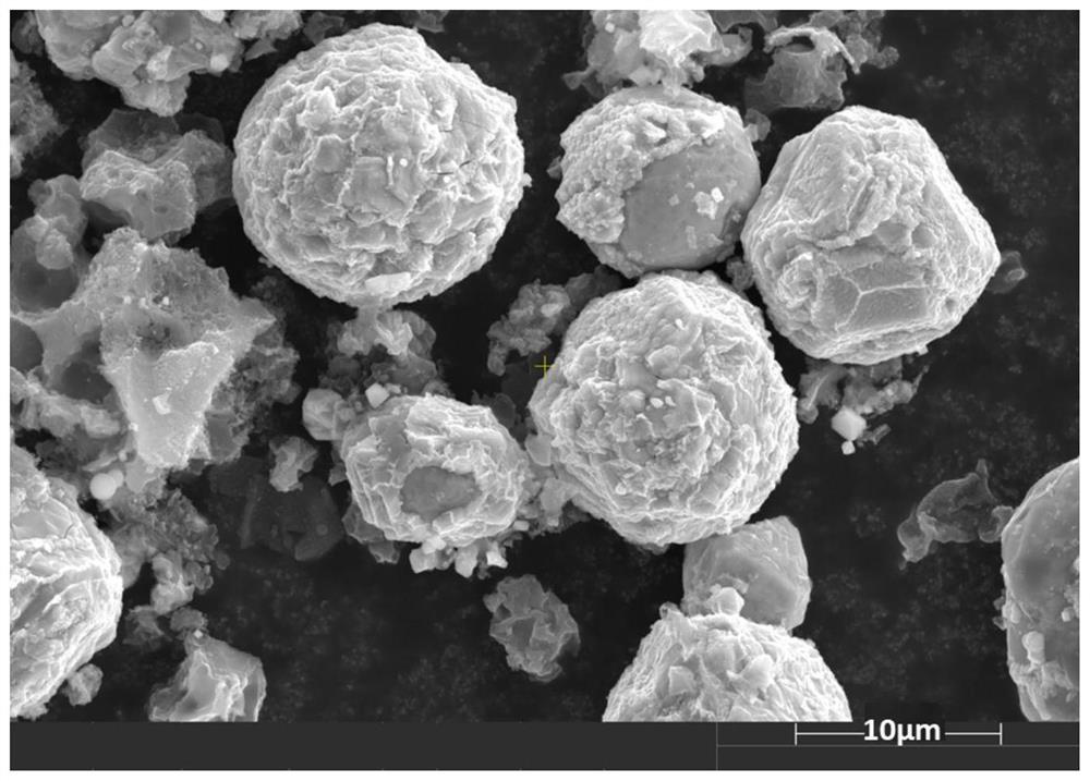 A graphitized carbon-supported nano-zero-valent iron material and its preparation method and application