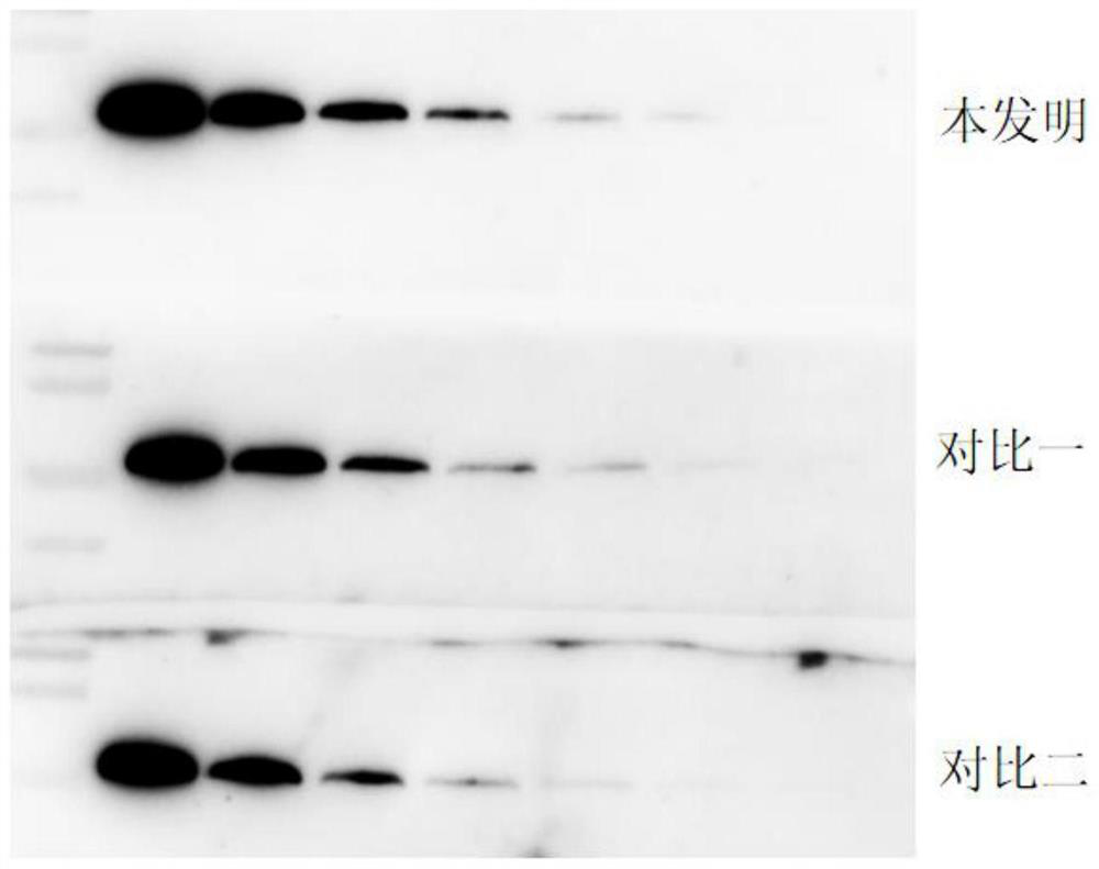 Chemiluminiscence substrate detection kit with high sensitivity and stable signals