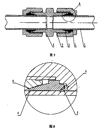 Novel two-ferrule tube fitting