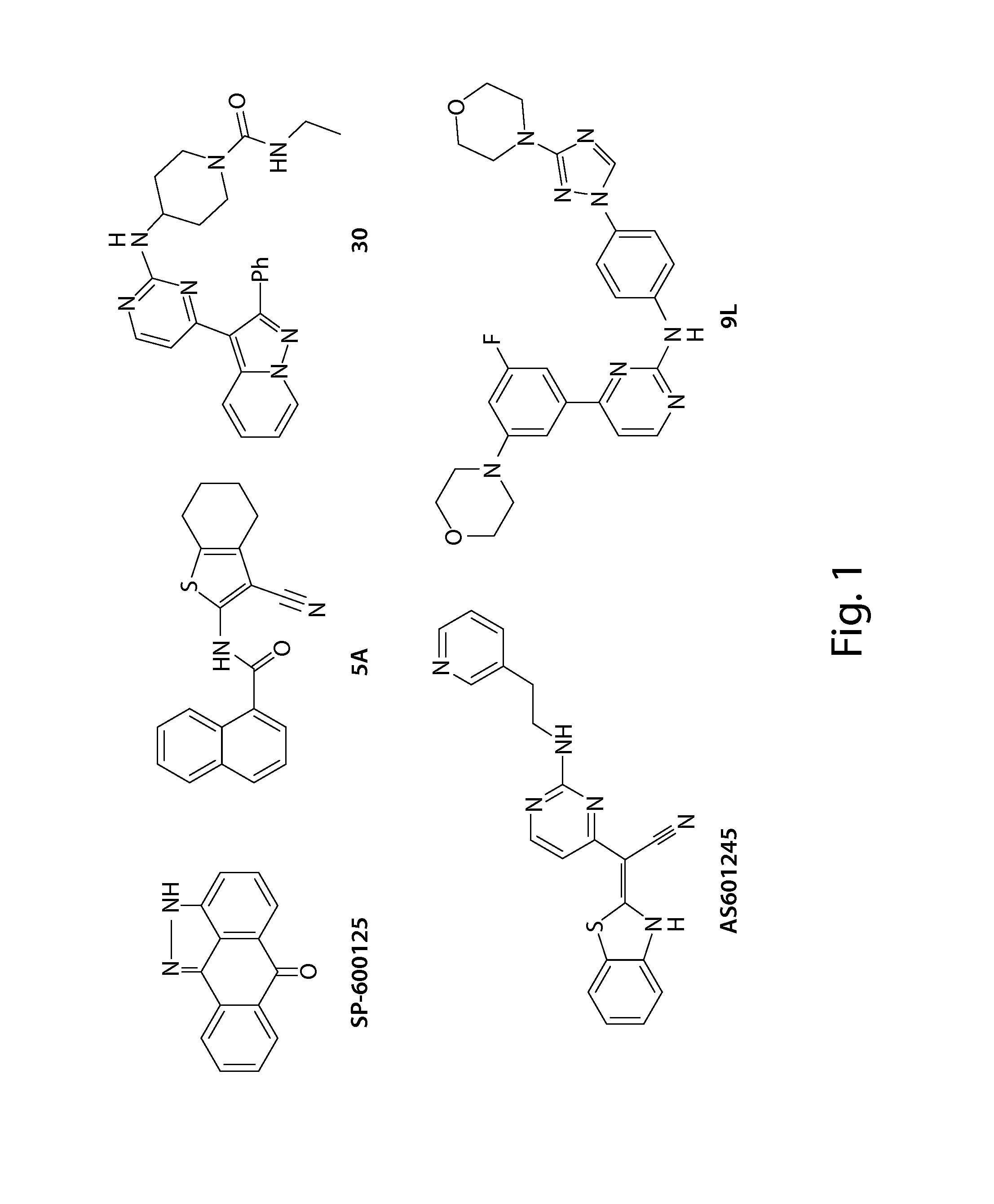 Inhibitors of c-jun-n-terminal kinase (JNK)