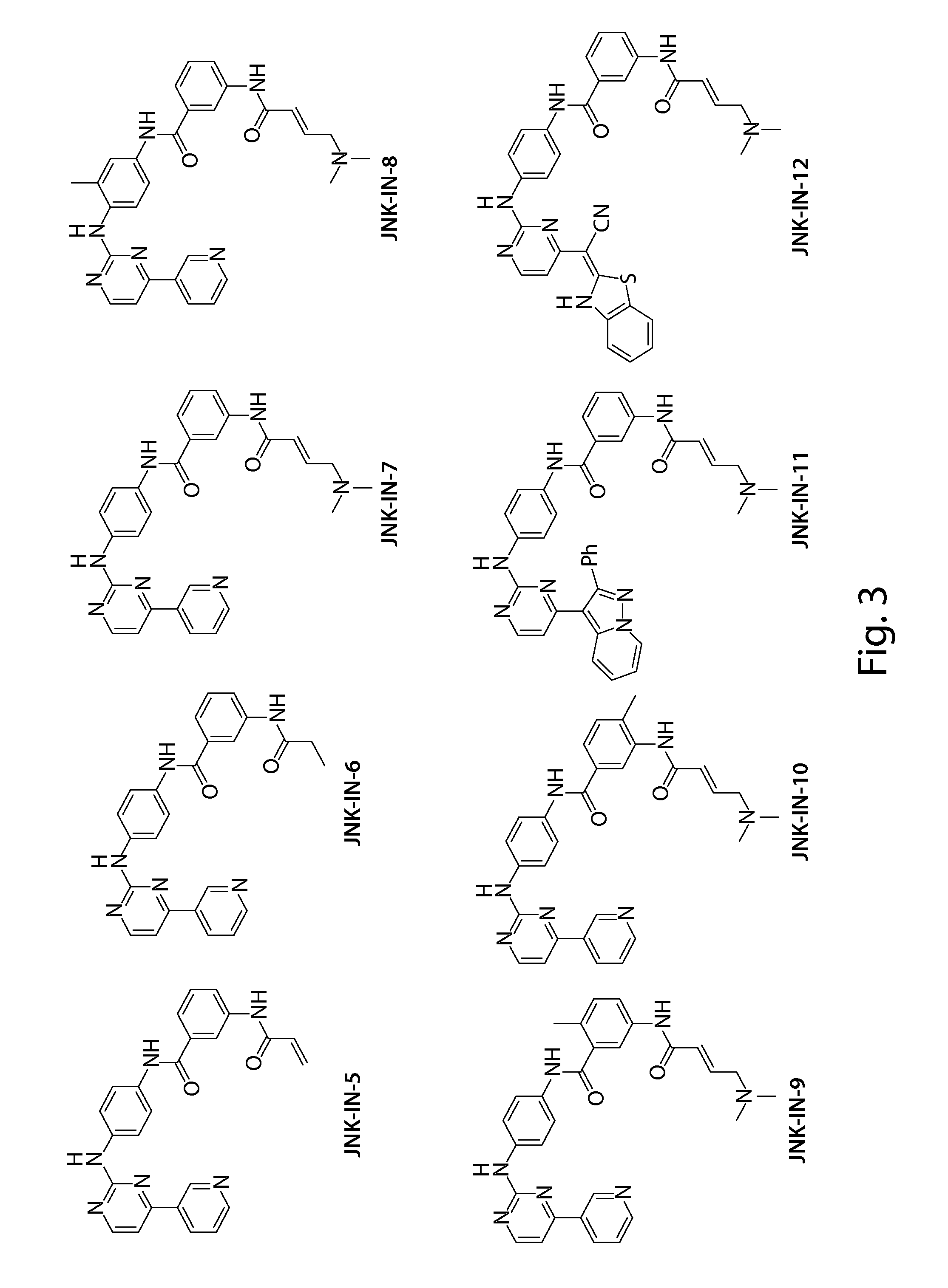 Inhibitors of c-jun-n-terminal kinase (JNK)