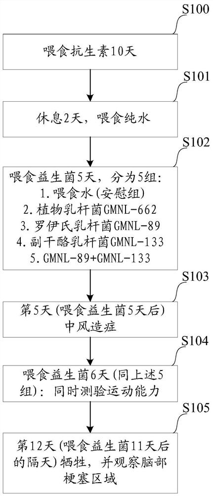 Composition for preventing stroke and improving stroke severity and use thereof