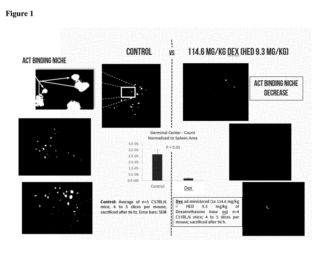 Replacement of cytotoxic preconditioning before cellular immunotherapy