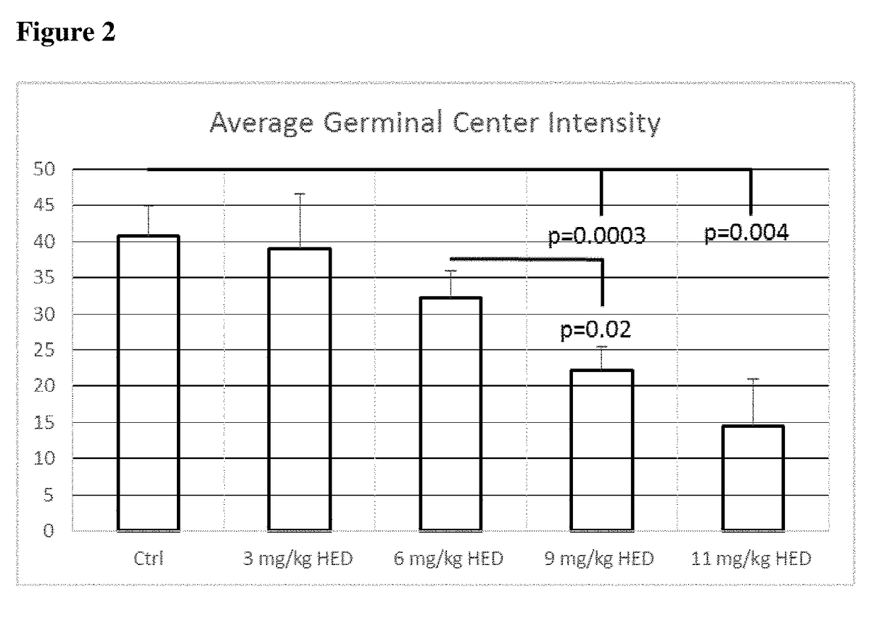 Replacement of cytotoxic preconditioning before cellular immunotherapy