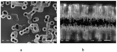 Formation liquid, formation method and anode foil