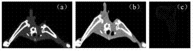 Personalized carbon/carbon composite artificial bone and preparation method thereof