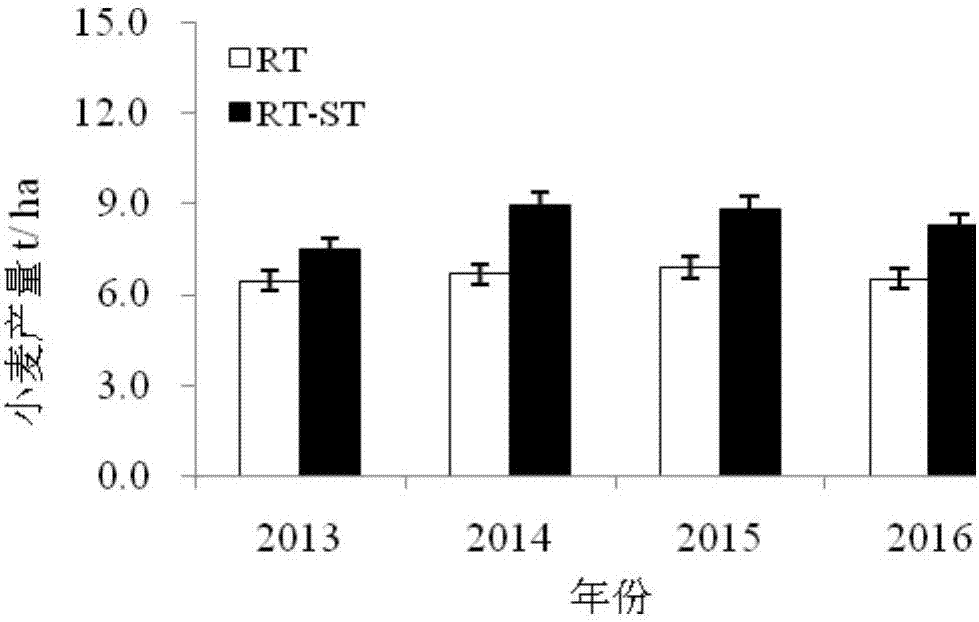 Combined rotational tillage method capable of harvesting high-yield wheat and corn twice and improving organic carbon content