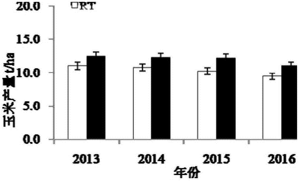 Combined rotational tillage method capable of harvesting high-yield wheat and corn twice and improving organic carbon content