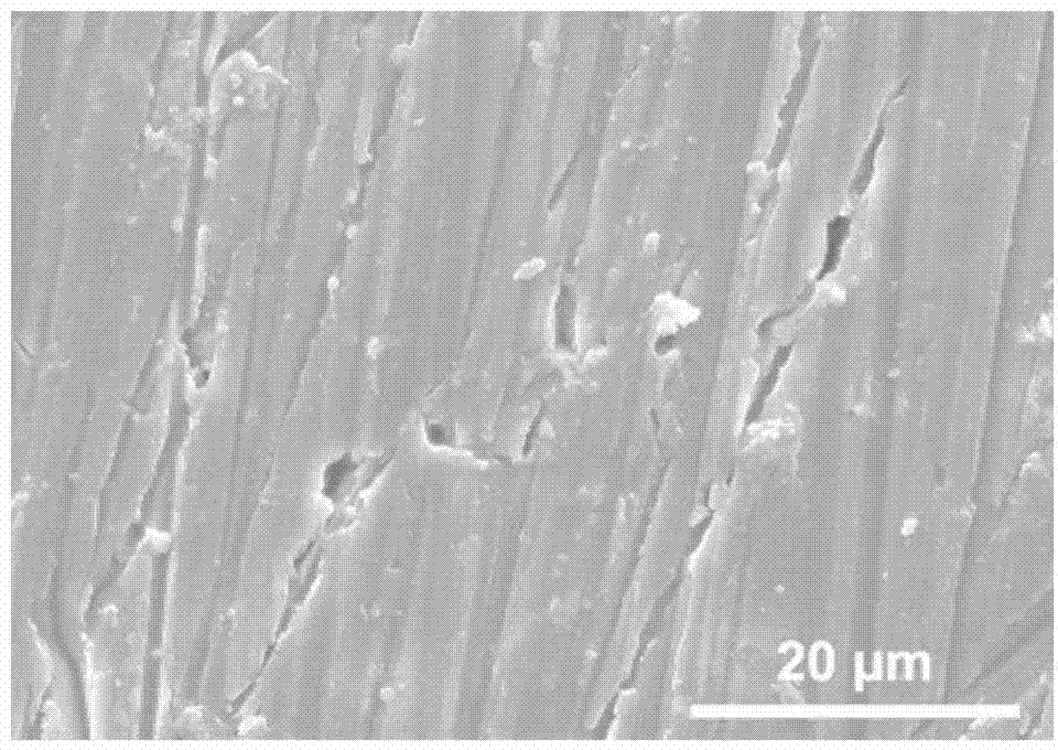 Magnesium alloy surface modification method