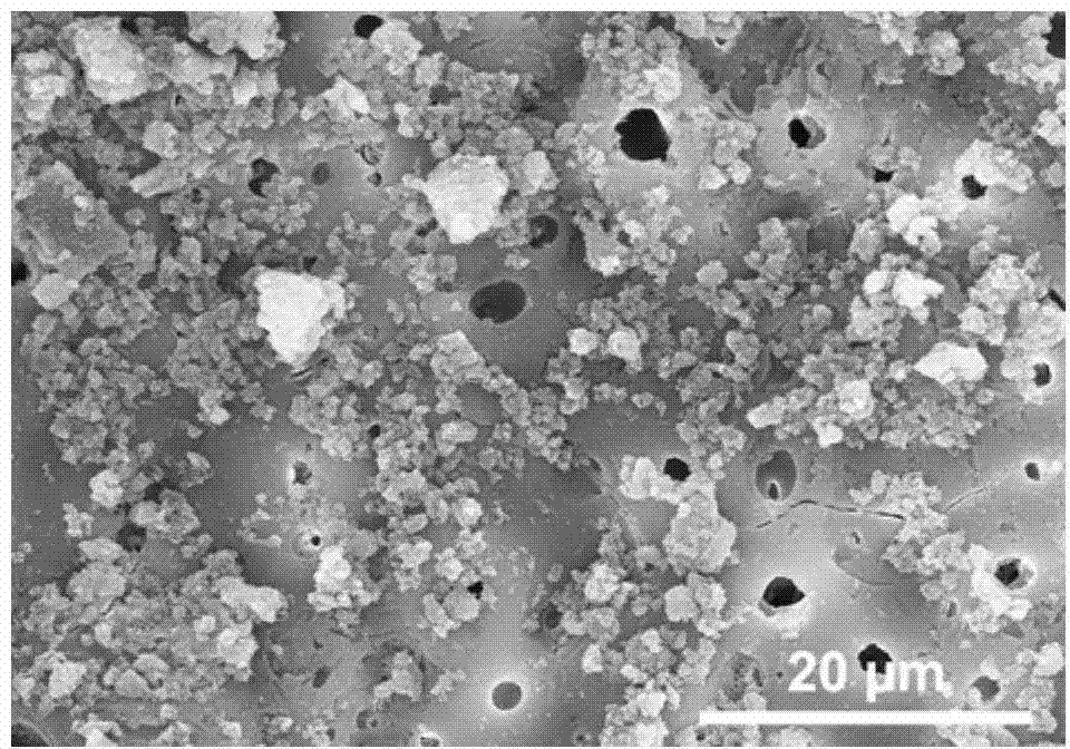 Magnesium alloy surface modification method