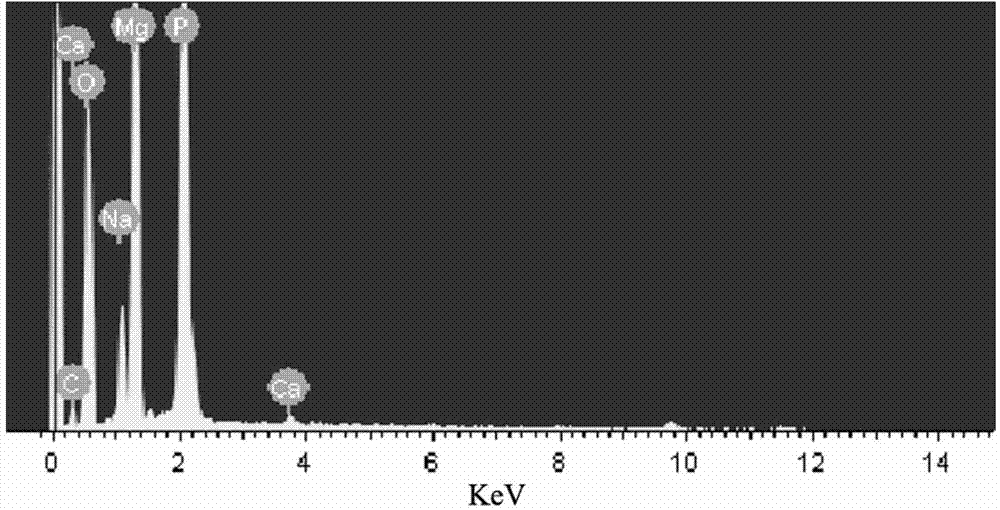 Magnesium alloy surface modification method