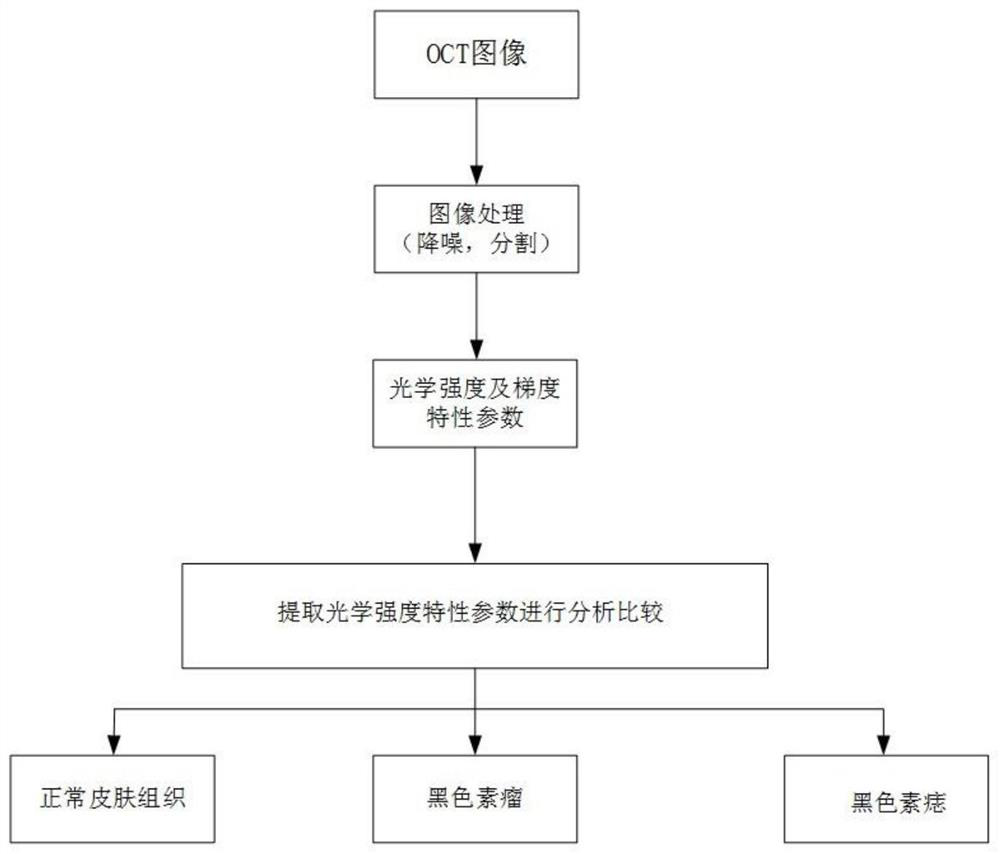 Skin cancer classification method based on optical intensity and gradient of OCT imaging image