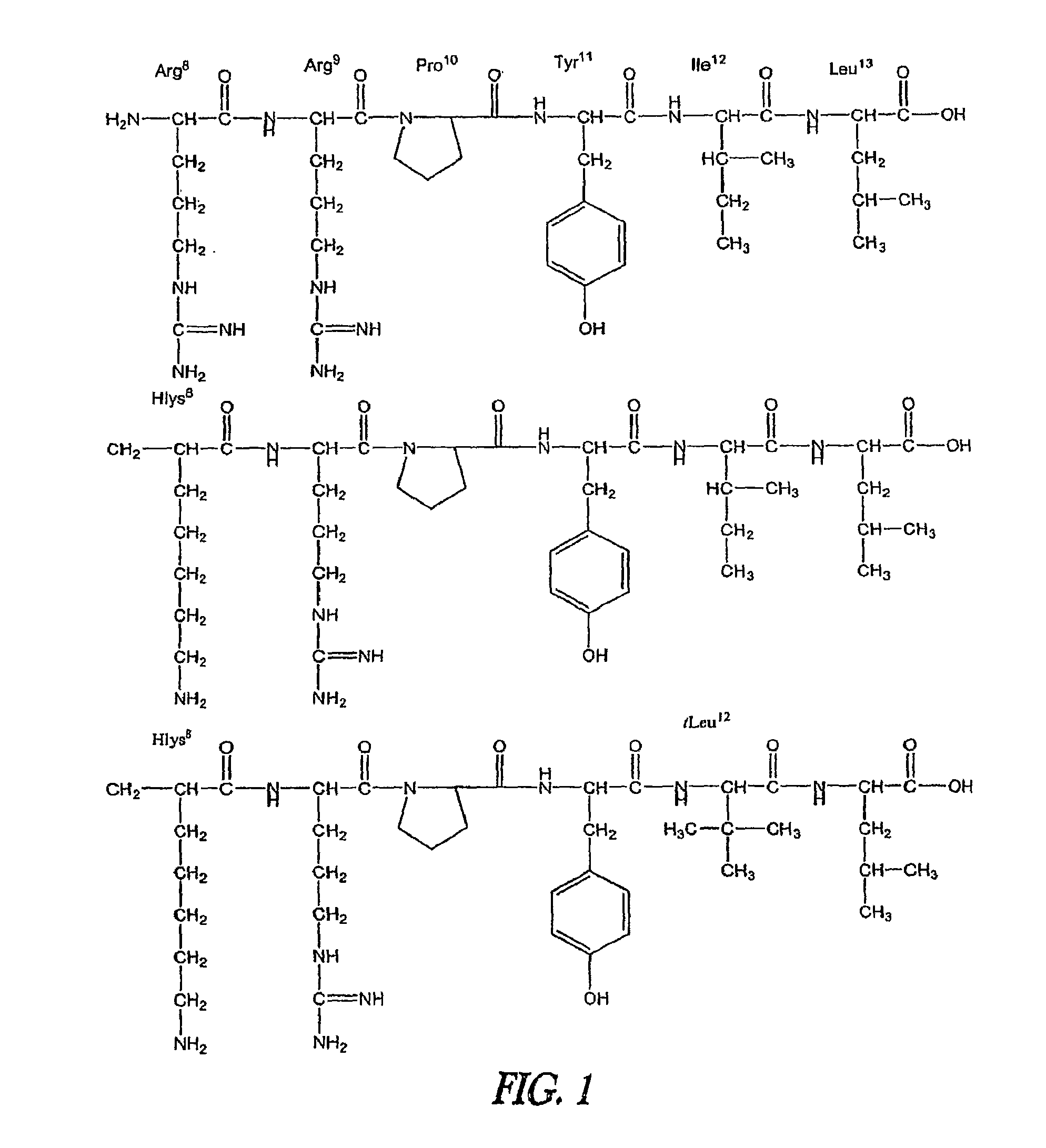 Non-Natural Amino Acids and Neurotensin Analogues Thereof