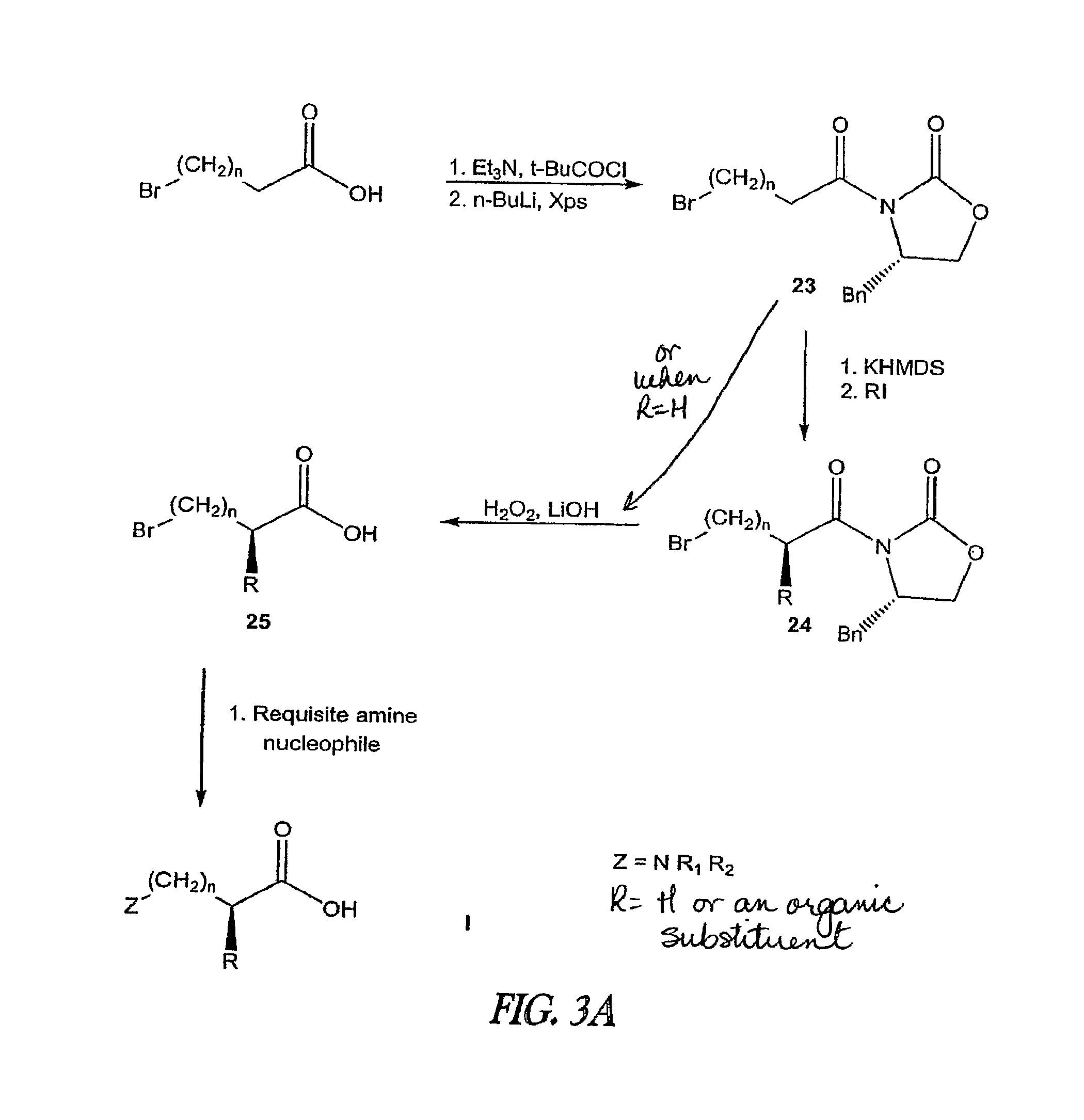 Non-Natural Amino Acids and Neurotensin Analogues Thereof