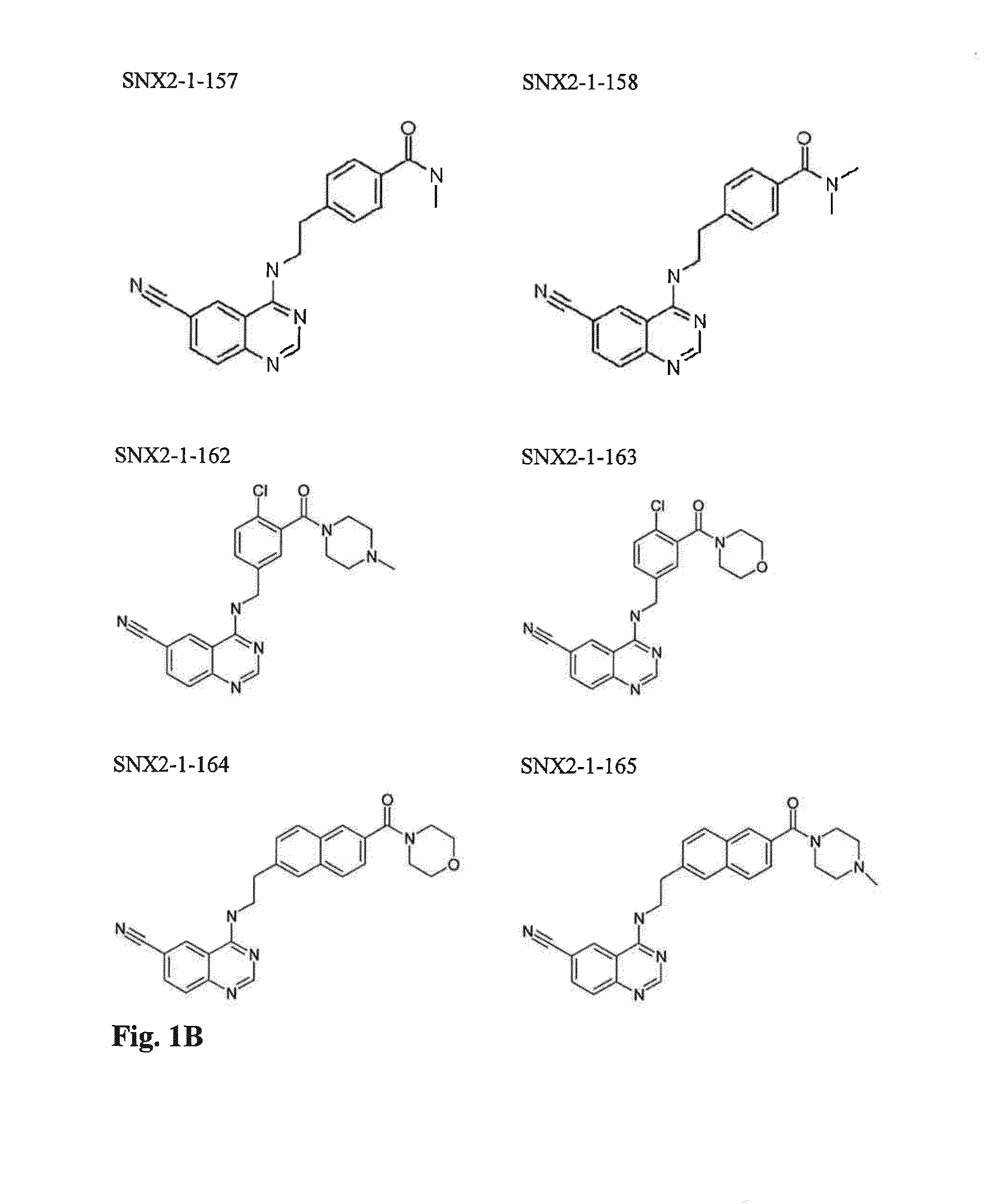 Cdk8-cdk19 selective inhibitors and their use in Anti-metastatic and chemopreventative methods for cancer