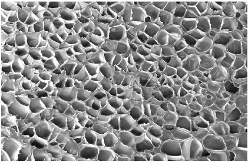 Flame-retardant polylactic acid composition and foamed beads thereof