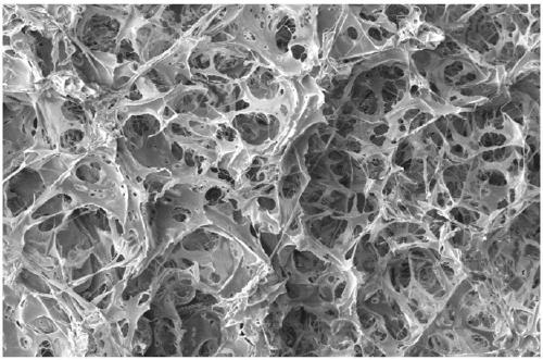 Flame-retardant polylactic acid composition and foamed beads thereof