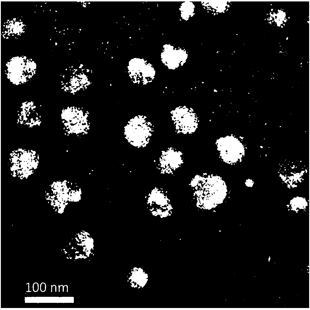 Nanometer genetic medicine resistant to tumors and preparation method and application thereof