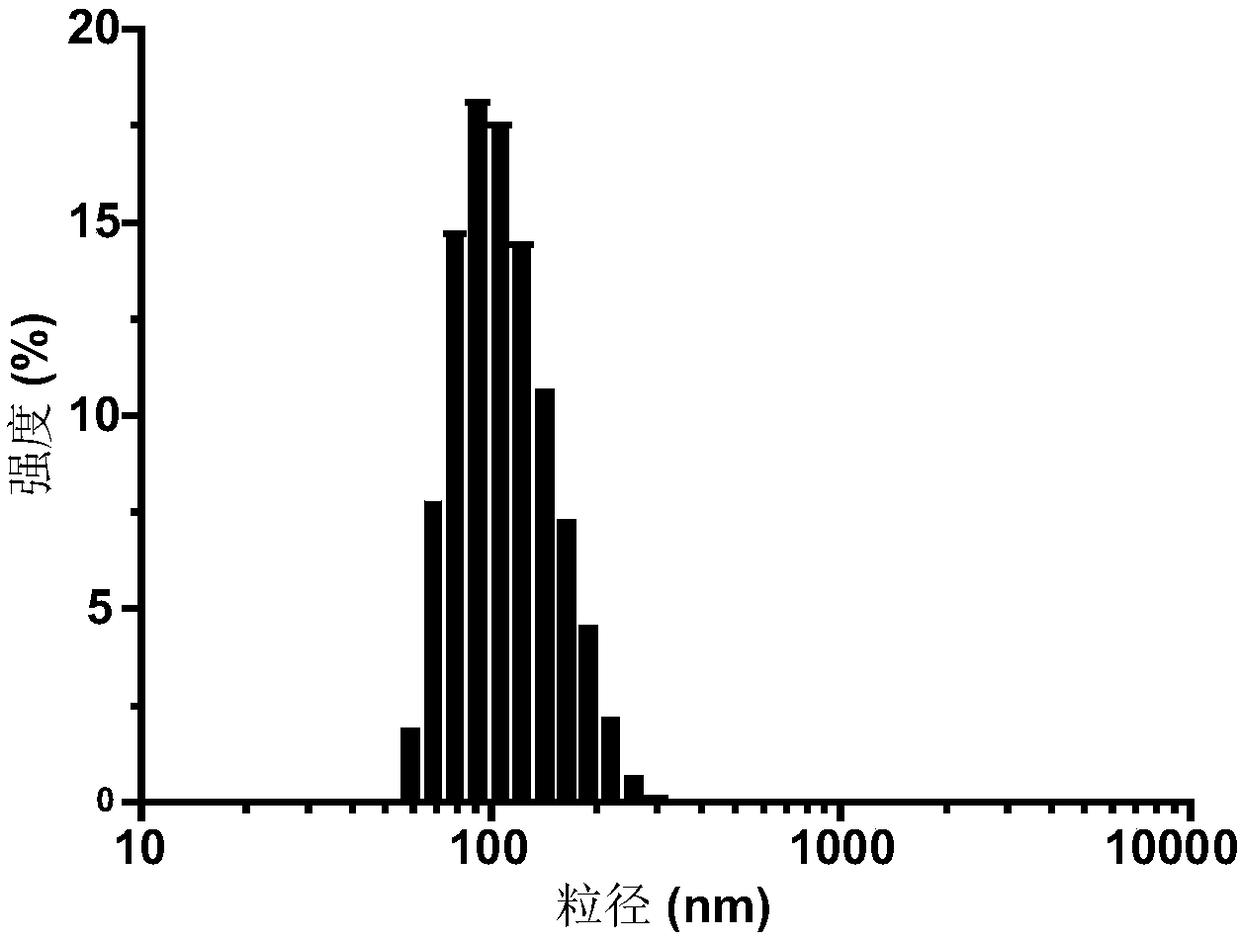 Nanometer genetic medicine resistant to tumors and preparation method and application thereof