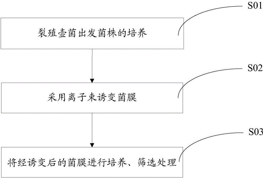 Schizochytrium limacinum strain as well as mutagenesis method and application thereof