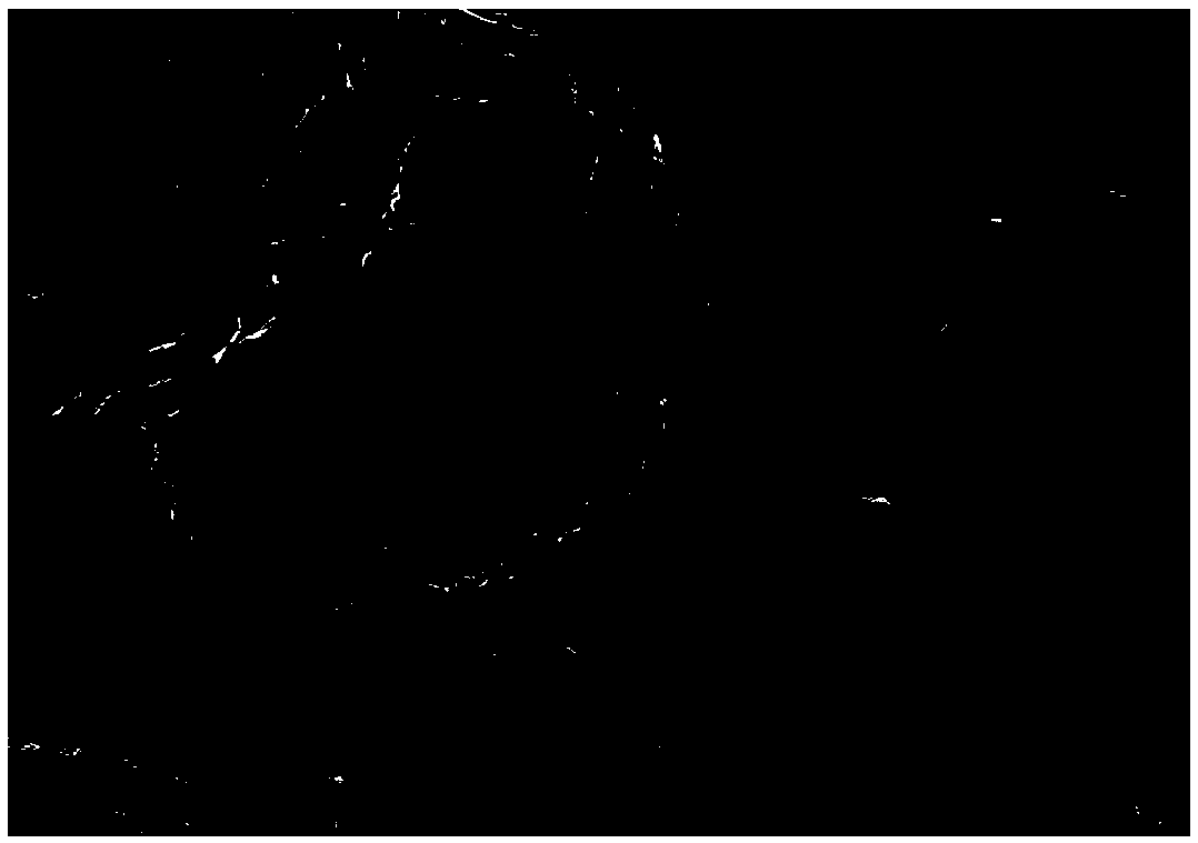 Graphene-reinforced copper based oil-bearing material and preparation method and application thereof