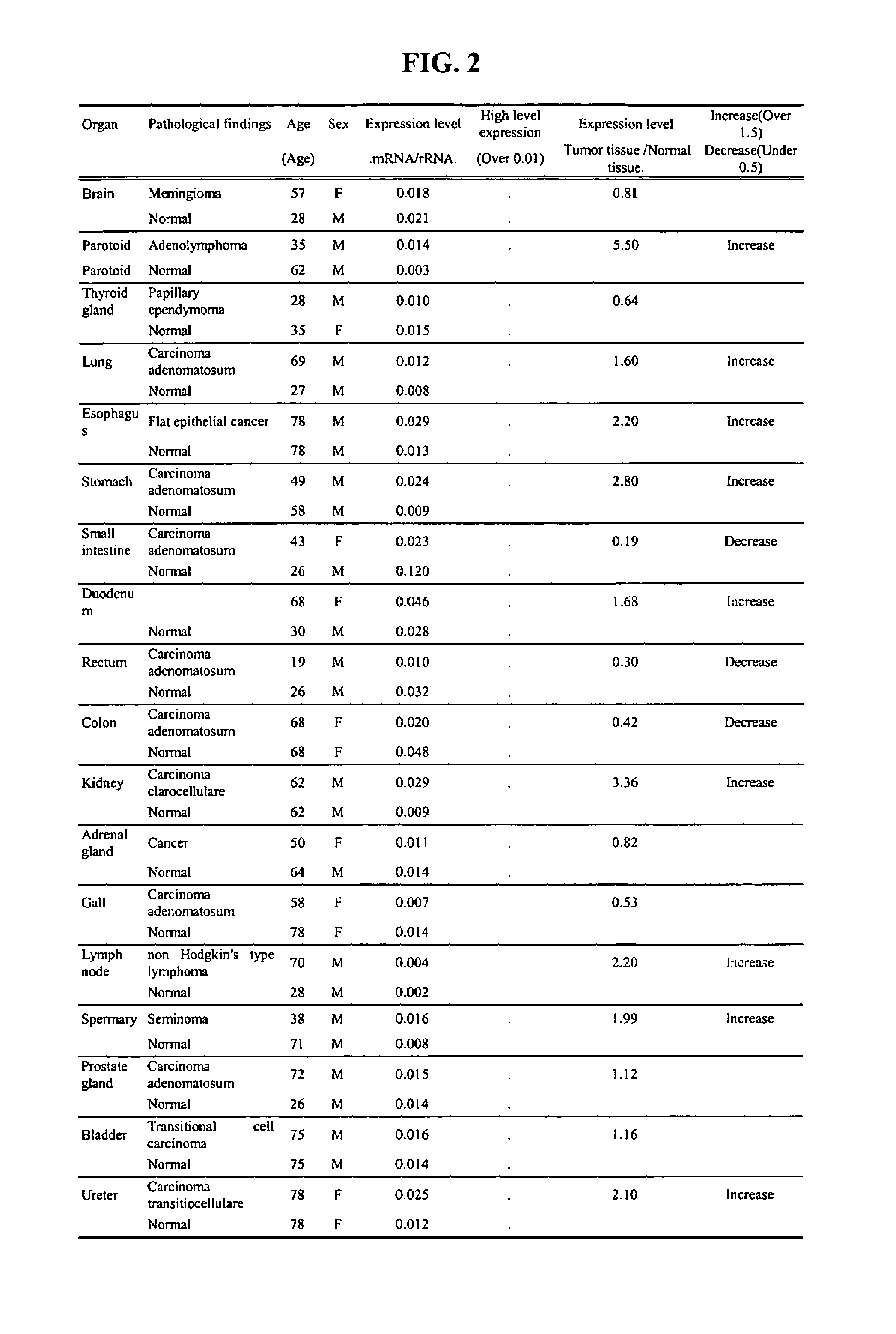 Polypeptide and DNA thereof