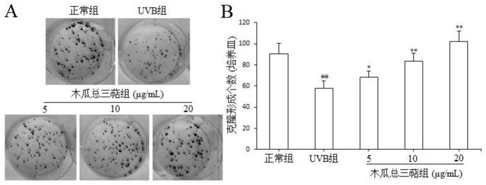 Pharmaceutical application of pawpaw total triterpenes