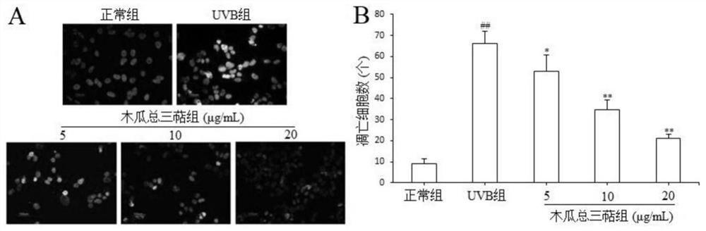 Pharmaceutical application of pawpaw total triterpenes