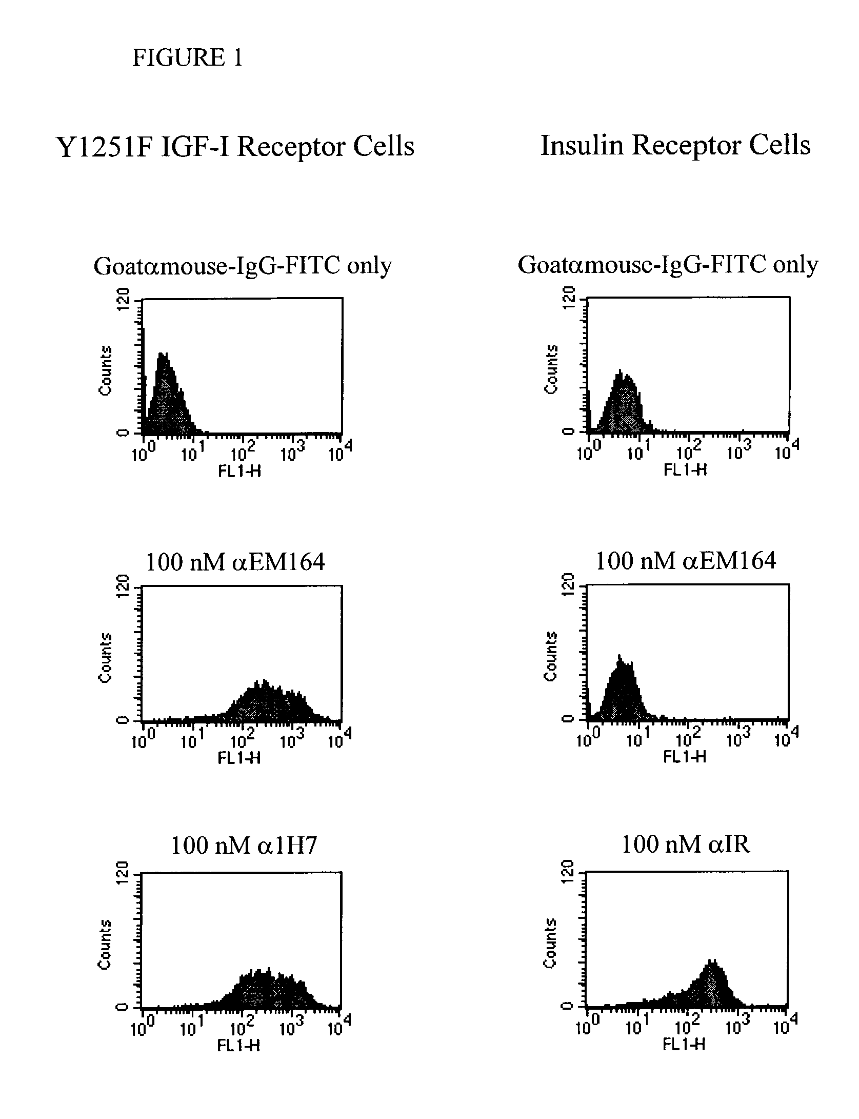 Anti-IGF-I receptor antibody