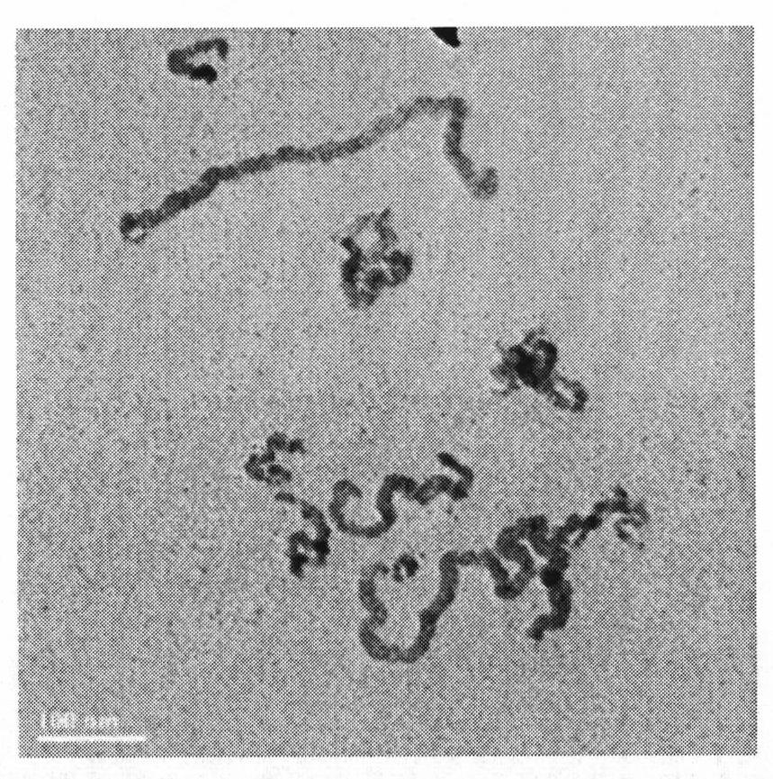 Method for preparing copper selenide nanometer material